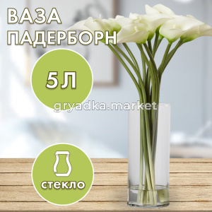 падерборн 2