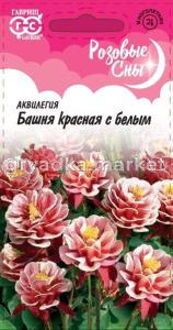 Аквилегия Башня красная с белым 0.05г (Гавриш) Розовые сны