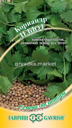 Кориандр Дебют 2,0г.автор.селекция Гавриш