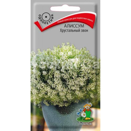 Алиссум Хрустальный звон 20шт. Поиск Алиссум Хрустальный звон 20шт. Поиск