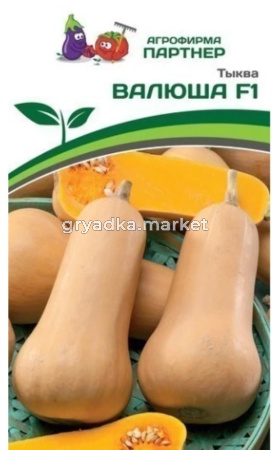 Тыква ВАЛЮША 5шт Ср (Партнер)