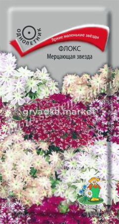Флокс Мерцающая звезда 0,2г. Поиск