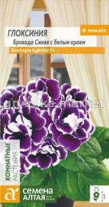 Глоксиния Брокада Синяя с белым краем 8шт (Сем Алт)