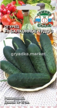 Огурец Балконное чудо 3 F1 0,2г Парт Ранн (Седек) 