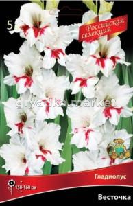 Гладиолус Весточка 12+ крупн. 5шт