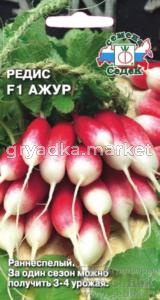 Редис Ажур 2г.(Седек)