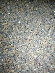 Фацелия 35 кг-МЕДОНОС