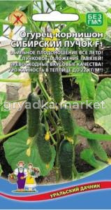 Огурец Сибирский пучок F1 корнишон (УД)