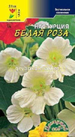 Настурция Вьющаяся Белая Роза Цвет.сад.