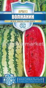 Арбуз Волжанин 1г (Гавриш) Русский богатырь