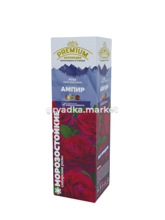 ампир-Photoroom