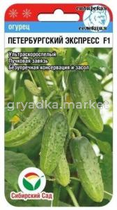 Огурец Петербургский экспресс F1 7шт (Сиб Сад) 