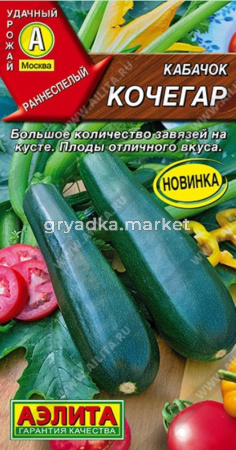 Кабачок Кочегар цуккини 1г Ранн (Аэлита)