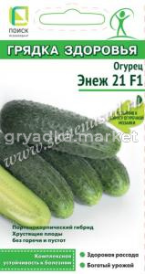 Огурец Энеж 21 F1 (сер.Грядка здоровья) (А) (ЦВ) 12шт (Поиск)