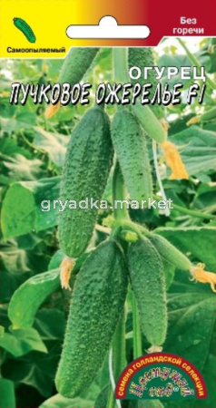 Огурец Пучковое ожерелье F1 0.3г Парт Ранн (Цвет сад)