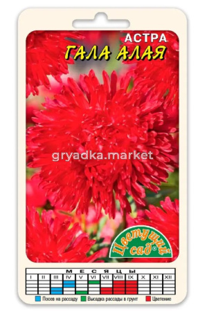 Скриншот 18-01-2024 165251