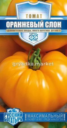 Томат Оранжевый слон 0,1г сер Рус богатырь Гавриш
