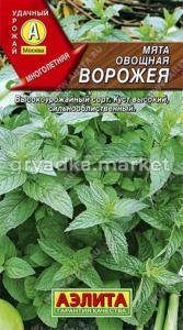 Мята Ворожея ,овощн.,холодост. Аэлита