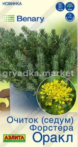Очиток (Седум) форстера Оракл 5шт Одн 20см (Аэлита)