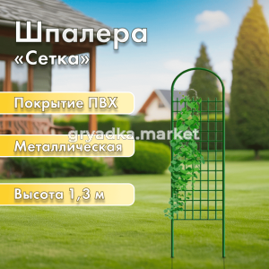КТ Сетка 01