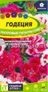 Годеция Махровые гиганты 0,05г смесь Одн 60см (Сем Алт)