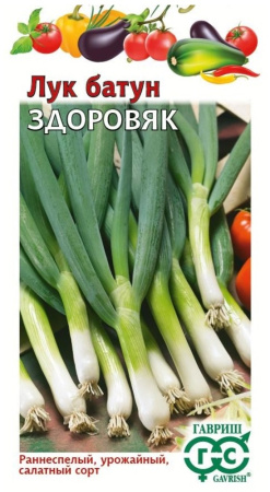 Лук батун Здоровяк Н22 1г Ранн (Гавриш)