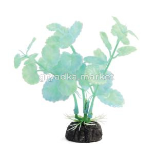 Растение светящееся 