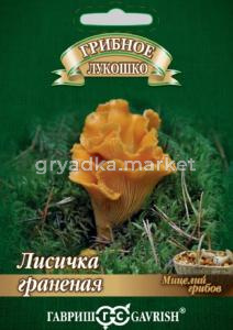 Мицелий Лисичка граненая на зерновом субстрате 15 мл (Гавриш)
