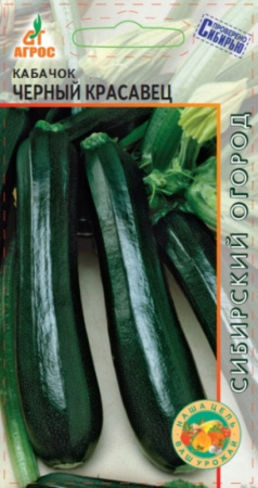 Кабачок Черный красавец 6шт -ранн- (Агрос) Германия Кабачок Черный красавец 6шт -ранн- (Агрос) Германия