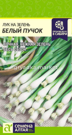Лук на зелень Белый Пучок-Сем Алт-цп 0,5 гр