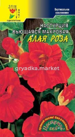 Настурция Алая роза ,ВЬЮЩ. Цвет.Сад