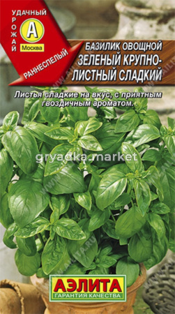 Базилик Зеленый крупнолистый Аэлита 