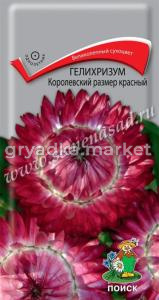 Гелихризум Королевский размер красный (ЦВ) (
