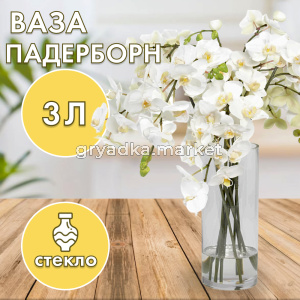 падерборн 02