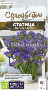 Статица Хипстер Блю 5 шт Одн 60см (Сем Алт) Сухоцветы