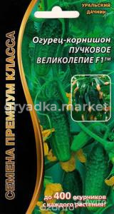 Огурец Пучковое Великолепие F1 5шт.корнишон (УД) ЧСС