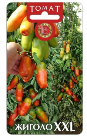 Томат Жиголо XXL 10шт Дет Ср (Биотехника)