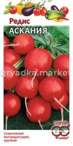 Редис Аскания 2г Ранн (Гавриш)