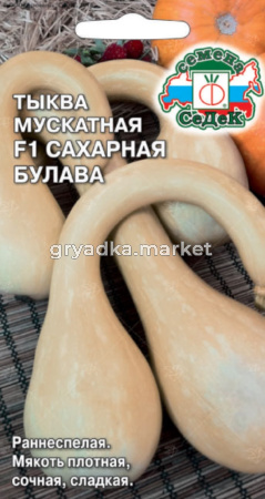 Тыква Сахарная Булава F1 1г Ранн (Седек)