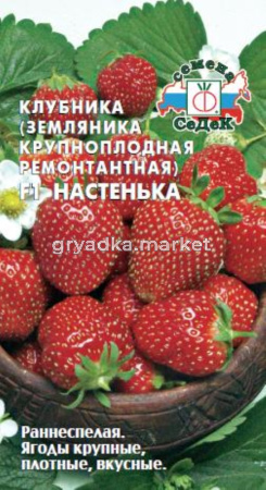 Земляника (клубника) Настенька F1 ремонт. 0,04г.(Седек)
