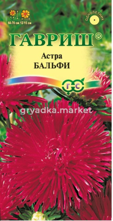 Астра Бальфи, игольчатая темно-роз. 0,3 г (Гавриш)