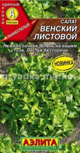 Салат Венский листовой 0.5г Ранн (Аэлита)