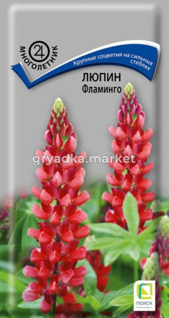 Люпин Фламинго декор. 1г Мн 90 см (Поиск)