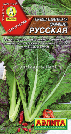 Горчица Русская салатная (Аэлита)