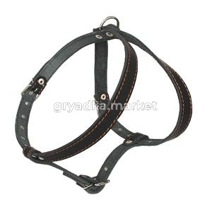 Шлея кожаная 20мм