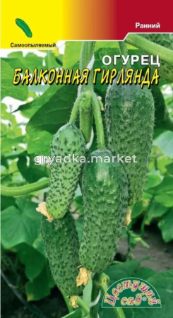 Огурец Балконная Гирлянда F1 Парт Ранн (Цвет сад)