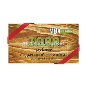 Подарочный сертификат 3000х