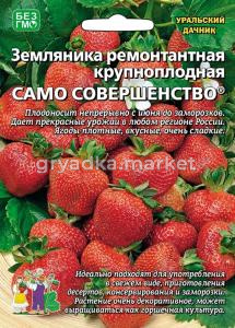 Земляника Само совершенство ремонтантная (УД)