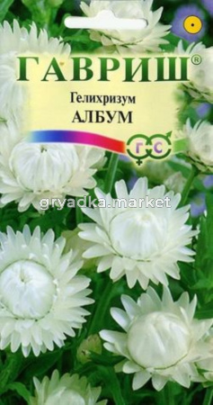 Гелихризум Албум 0,2г Гавриш