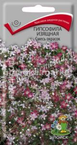 Гипсофила изящная Смесь окрасок (ЦВ) (